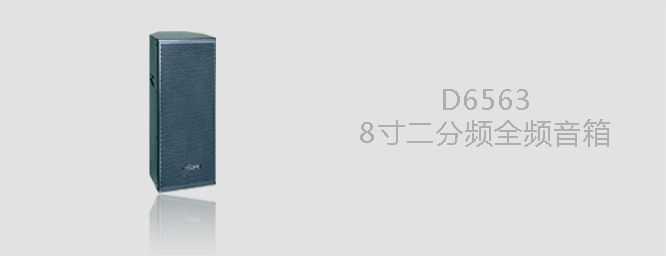 D6563  8寸全频音箱